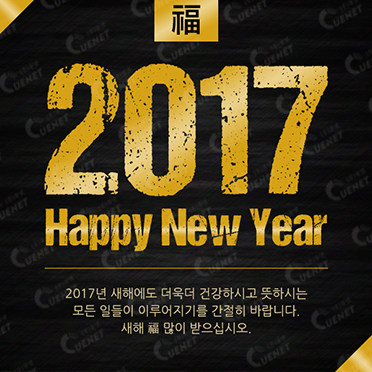 2017 Happy New Year1