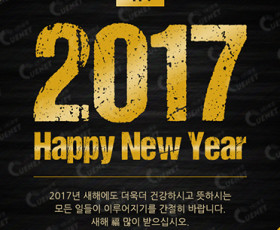 2017 Happy New Year1