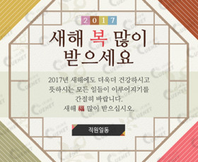 2017 새해 복 많이 받으세요2