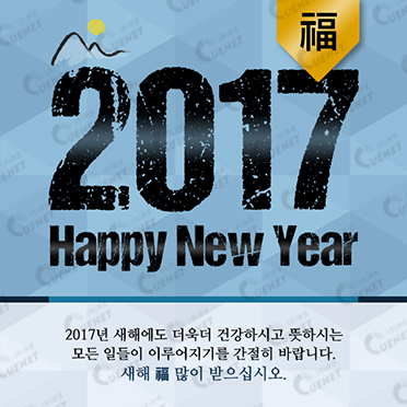 2017 Happy New Year2
