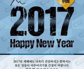 2017 Happy New Year2